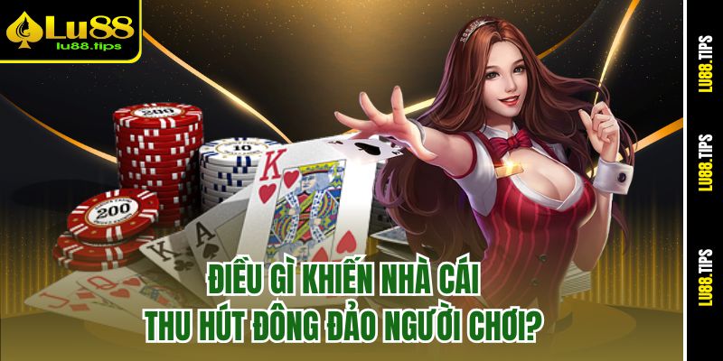 Điều gì khiến nhà cái thu hút đông đảo người chơi?