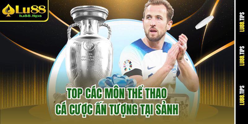 Top các bộ môn cá cược ấn tượng tại thể thao K-Sports